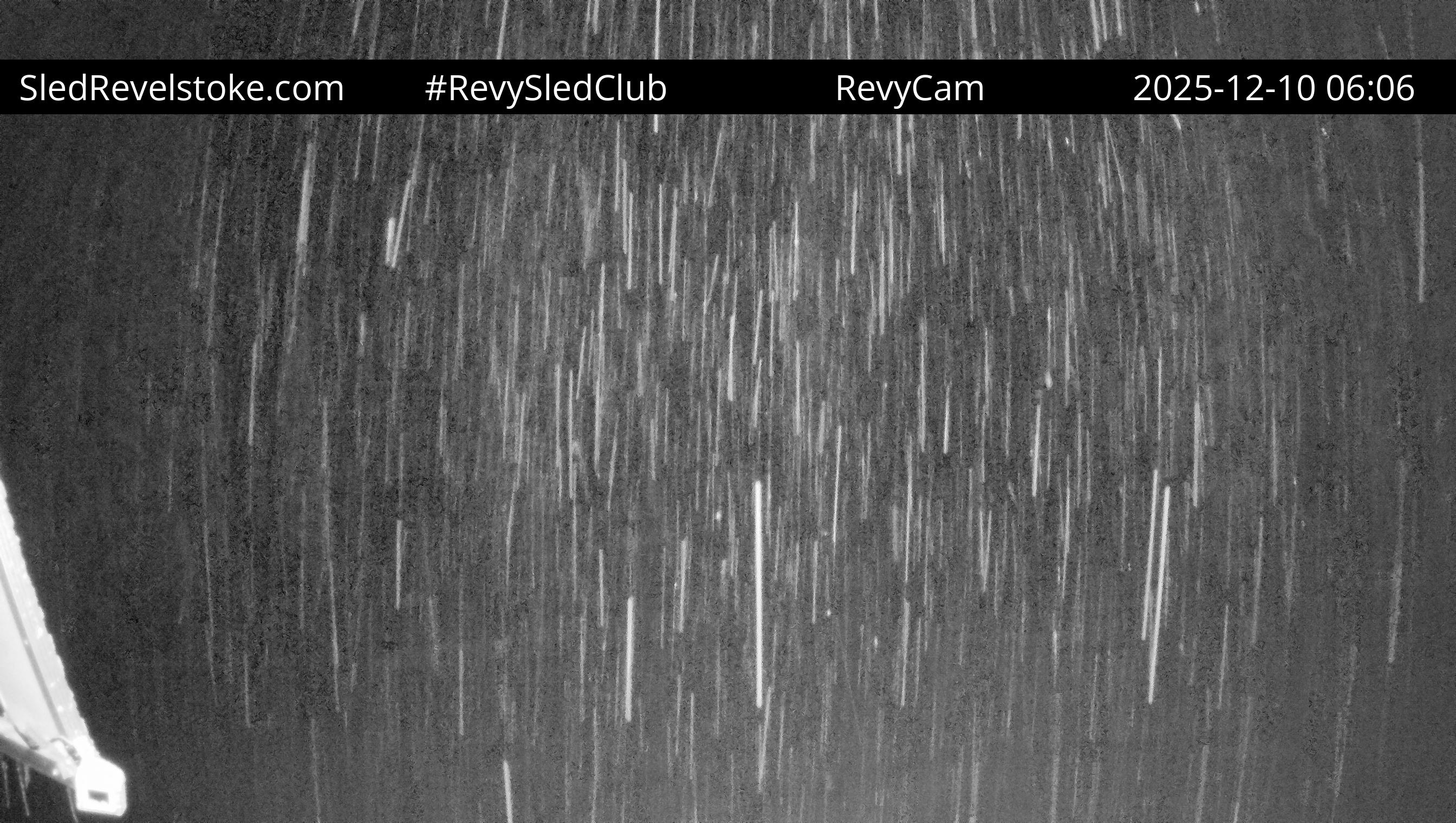 RevyCam Live Image