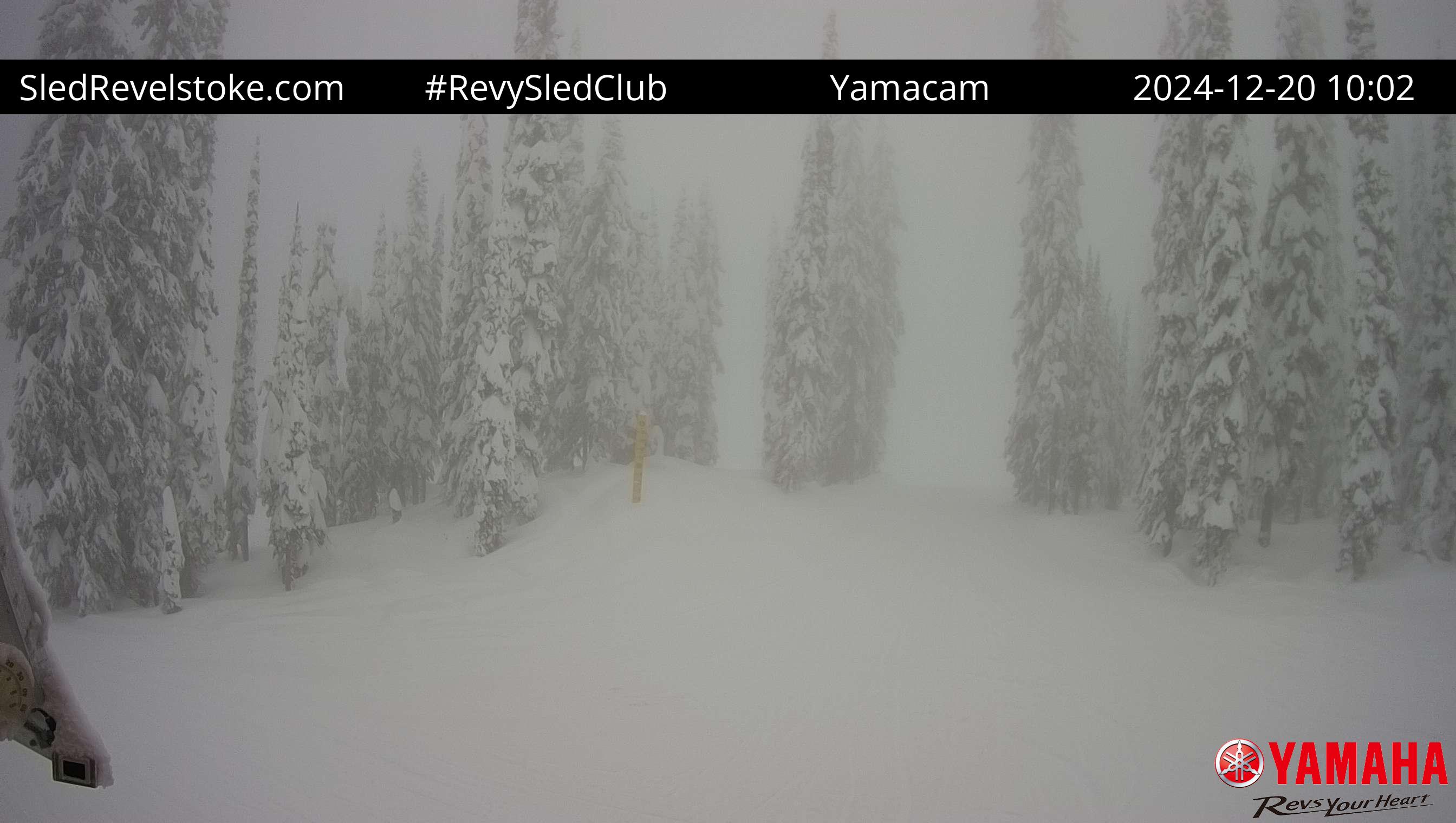 YamaCam Current Webcam Image