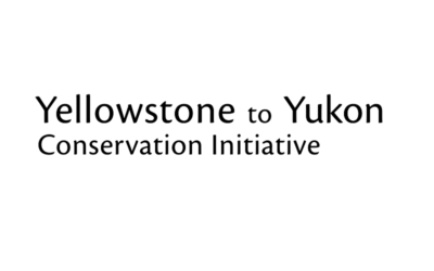 Y2Y Caribou & Wolverine Online Workshop