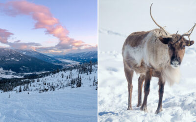 The Frisby Ridge Caribou Closure